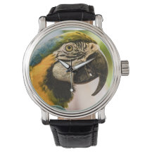 Prata som en pirat bevakning