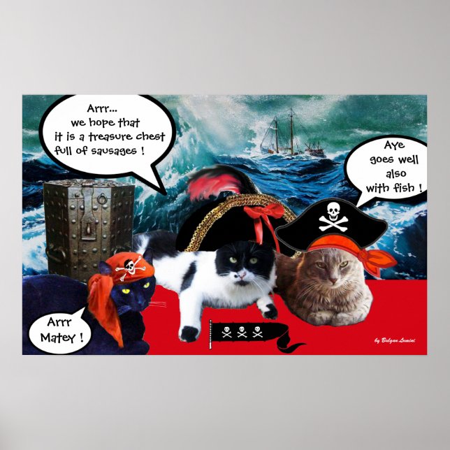PRATANDE PIRATKATTER OCH FARTYG I SJÖSTORM POSTER (Framsidan)