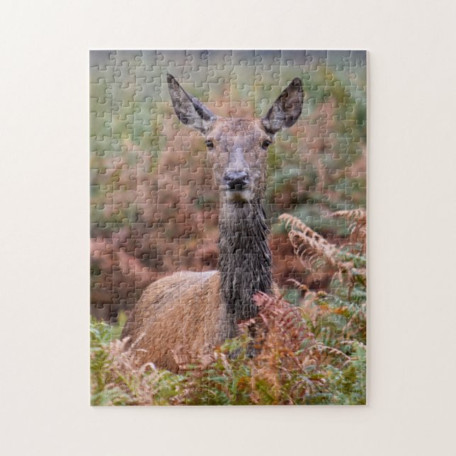 Pratar du med mig? - 11 x 14-252 biet pussel (Vertikal)