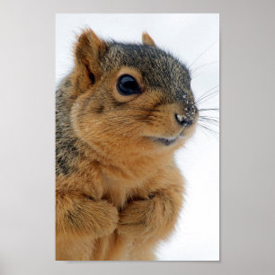 Pratar du med mig? poster