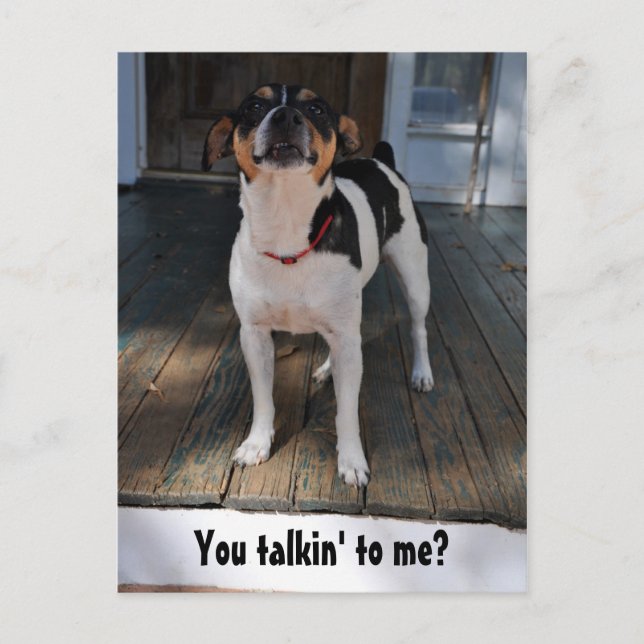 Pratar du med mig? vykort (Framsida)