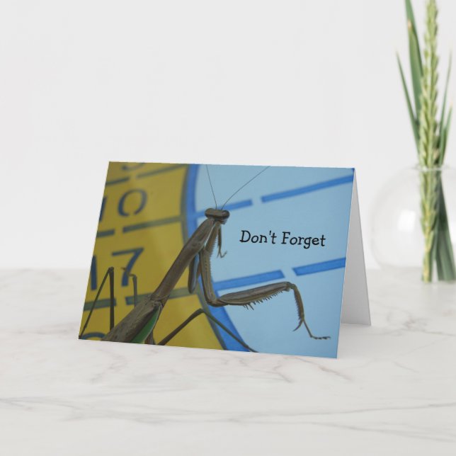 Pratar Mantis, glöm inte Kort (Framsida)