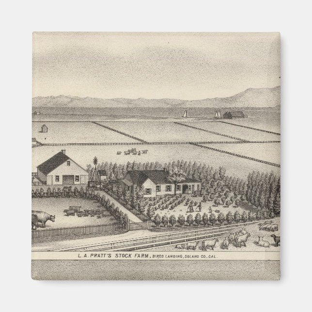Pratt, Stewart-gårdar Magnet (Framsidan)