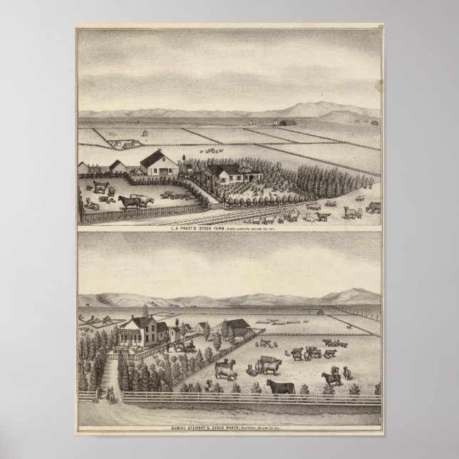 Pratt, Stewart-gårdar Poster (Framsidan)