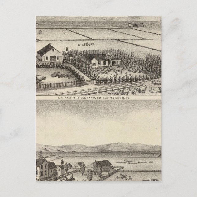 Pratt, Stewart-gårdar Vykort (Framsida)