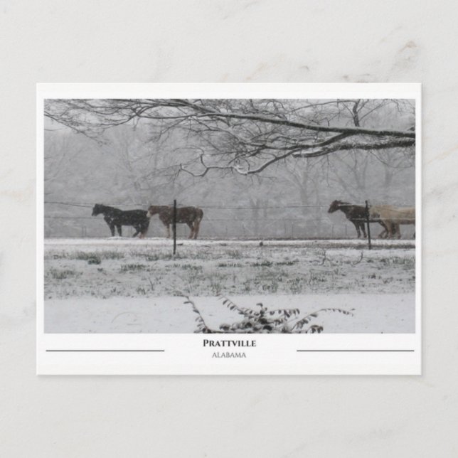 Prattville Alabama Vykort (Framsida)