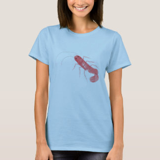 Prawn Dam T-Shirt
