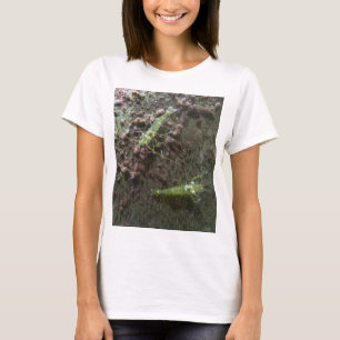 Prawns Women's Plus-Storlekt Tanktop Tee Shirt