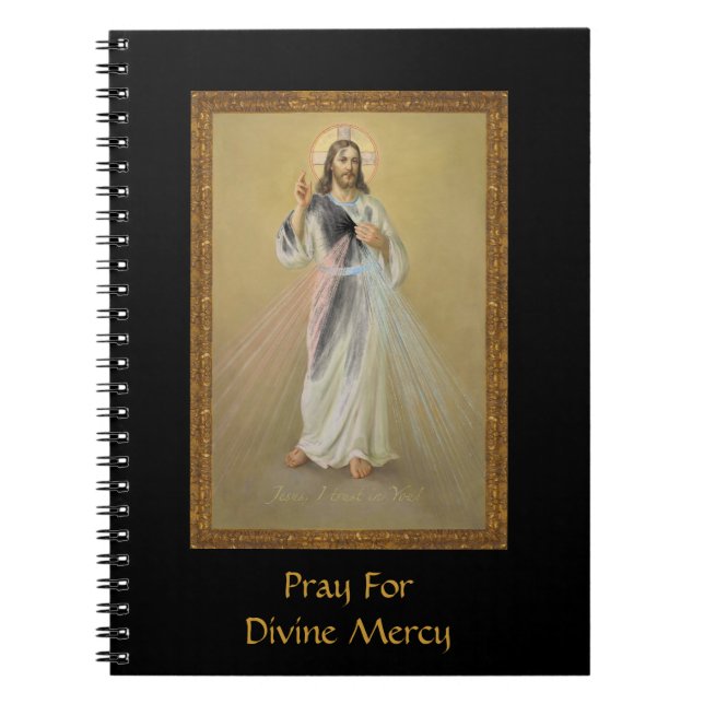 Pray for Divine Mercy Anteckningsbok (Framsidan)
