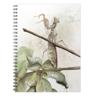 Pray Mantis watercolor  Anteckningsbok