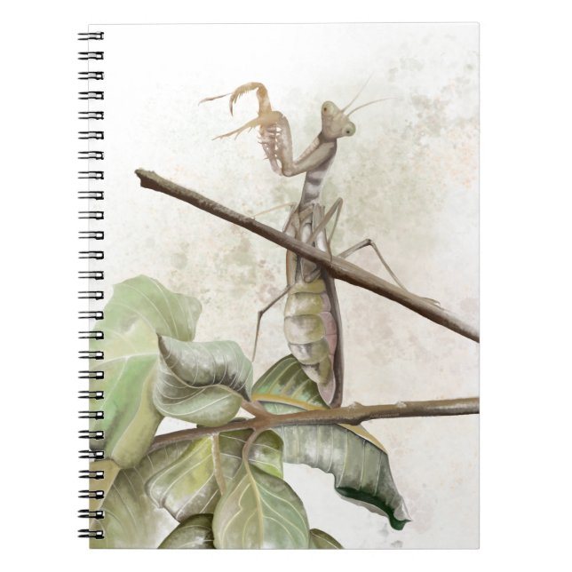 Pray Mantis watercolor  Anteckningsbok (Framsidan)