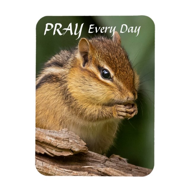 Pray Varje dag Chipmunk Magnet (Vertikal)