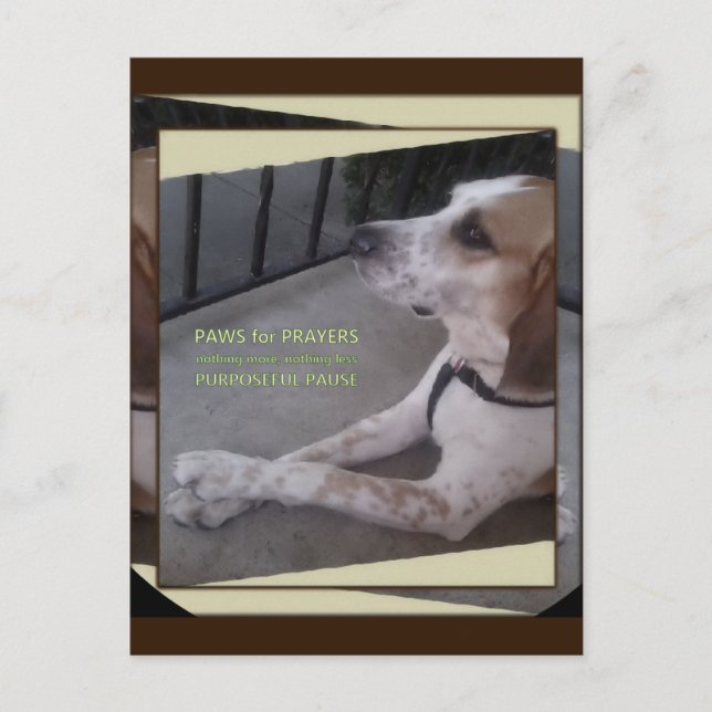 Prayer Hund Tassar vykort (Framsida)