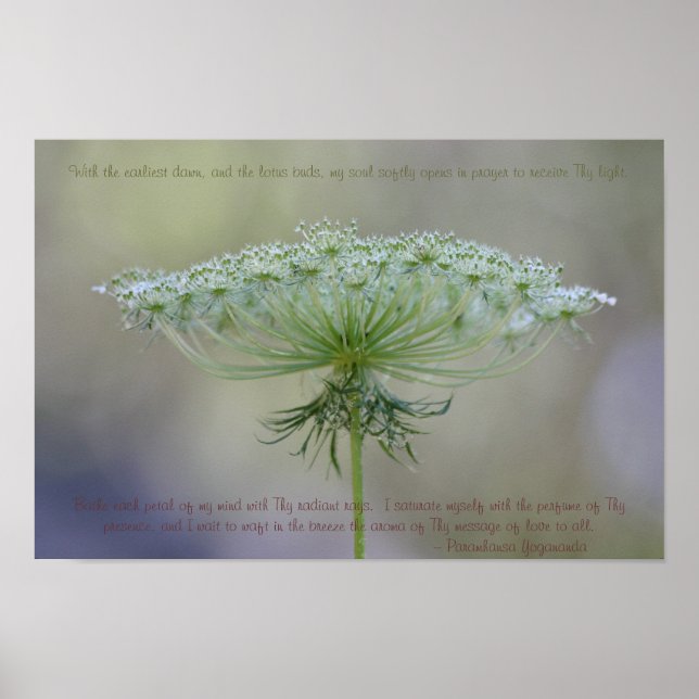 Prayer i Dawn Poster (Framsidan)