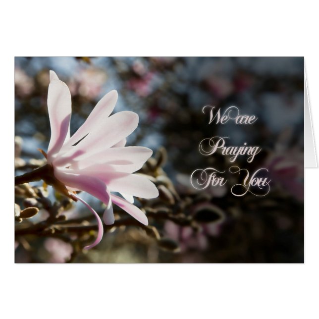 Prayer-kort med magnolia hälsningskort (Framsidan Horizontal)