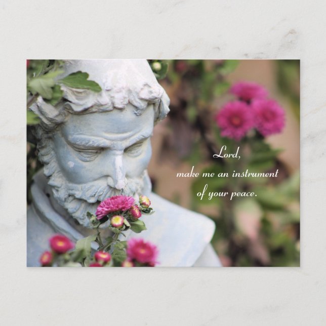 Prayer of Saint Francis of Assisi Vykort (Framsida)