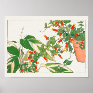 Prayer Plant, Firecracker av Tanigami Konan Poster