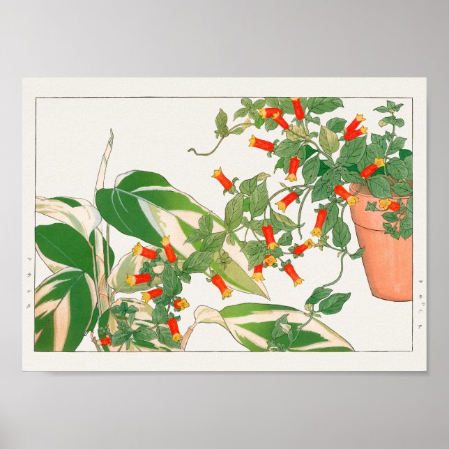 Prayer Plant, Firecracker av Tanigami Konan Poster (Framsidan)