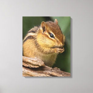 Prayerful Chipmunk Canvastryck
