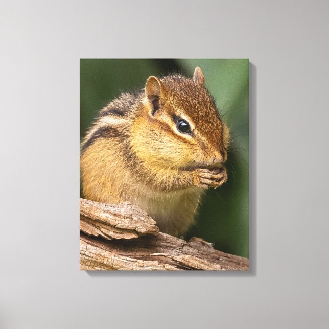 Prayerful Chipmunk Canvastryck (Framsida)