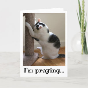 Praying Black and White Cat Kort