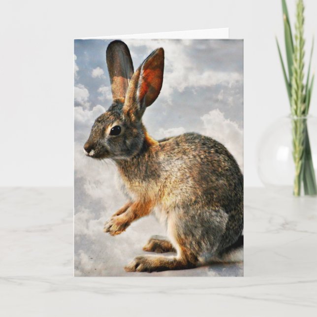 Praying Bunny i Heavens Kort (Framsida)