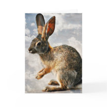 Praying Bunny i Heavens