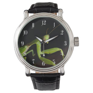 Praying mantid armbandsur