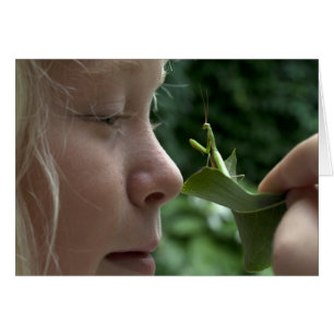 Praying Mantid Hälsningskort