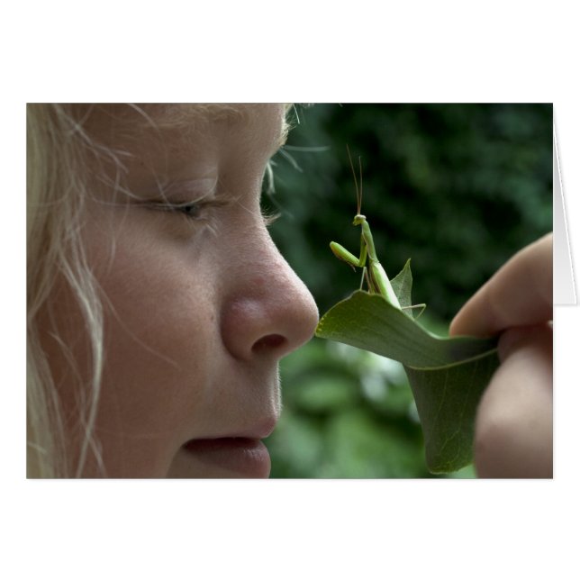 Praying Mantid Hälsningskort (Framsidan Horizontal)