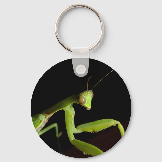 Praying mantid nyckelring (Framsida)