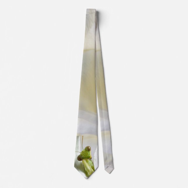Praying mantid slips (Framsida)