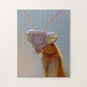 Praying Mantids Pussel