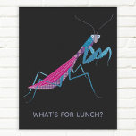 Praying Mantis Anpassningsbar Text Poster<br><div class="desc">En lustig lovande mant för insekt och kryp älskare. Vissa kvinnliga bönmantiker äter sina pojkvänner. Eek! Lägg till en egen text som du vill anpassa med en namn,  en fras eller ett skämt.</div>
