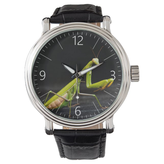 Praying mantis armbandsur (Framsida)