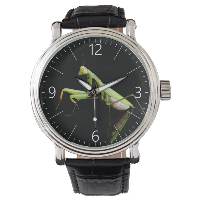 Praying mantis armbandsur (Framsida)