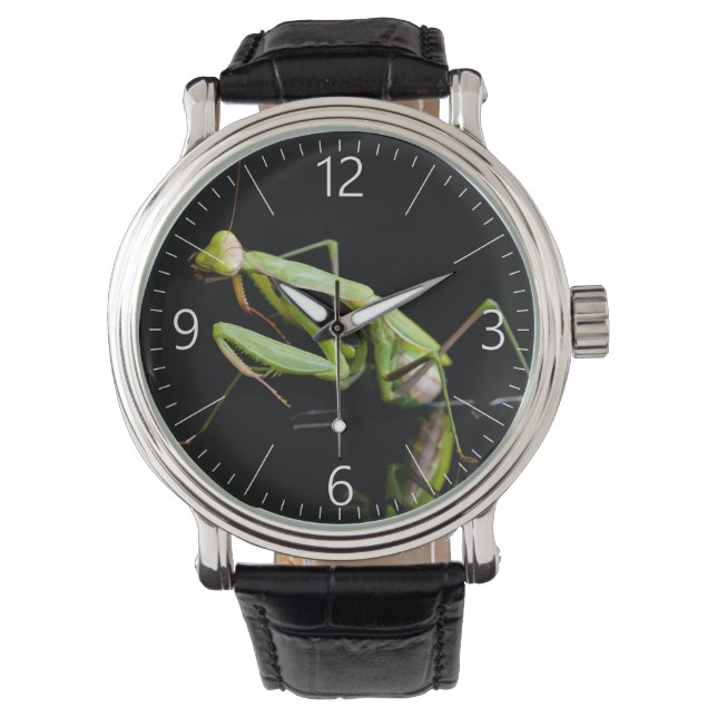 Praying mantis armbandsur (Framsida)