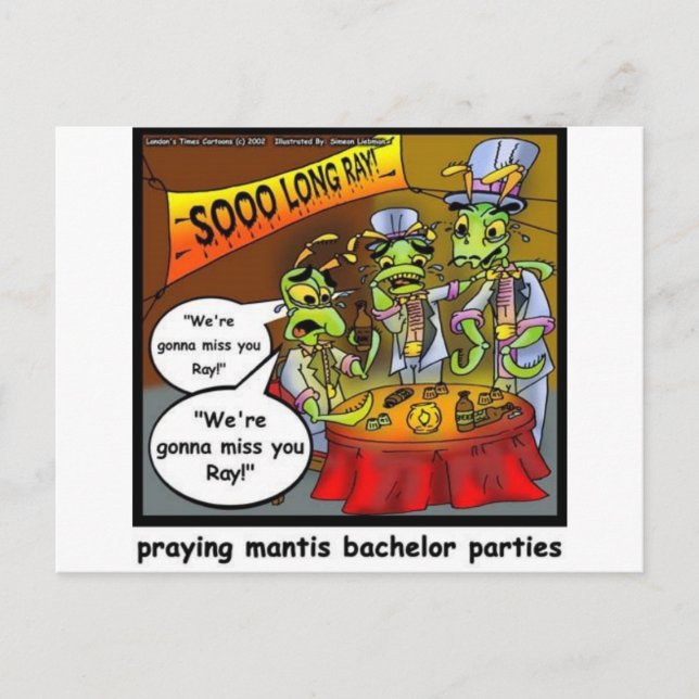 Praying Mantis Batchelor Party Funny Gifts & Tees Vykort (Framsida)