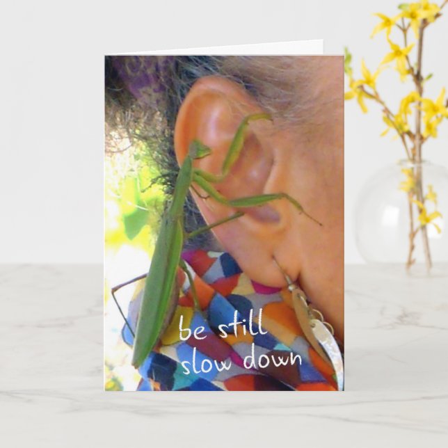 Praying Mantis - be still, fortsätt sakta ner - ko Kort (Gul blomma)