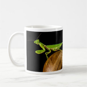Praying Mantis Close-Up Kaffemugg
