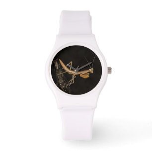 Praying Mantis Cute and Creepy Insekt Art Armbandsur