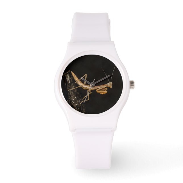 Praying Mantis Cute and Creepy Insekt Art Armbandsur (Framsida)