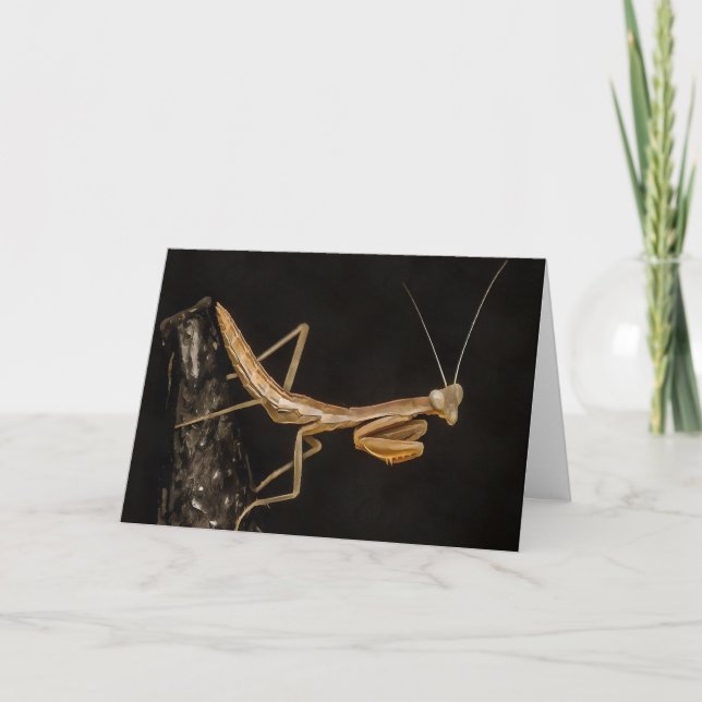 Praying Mantis Cute and Creepy Insekt Art Kort (Framsida)