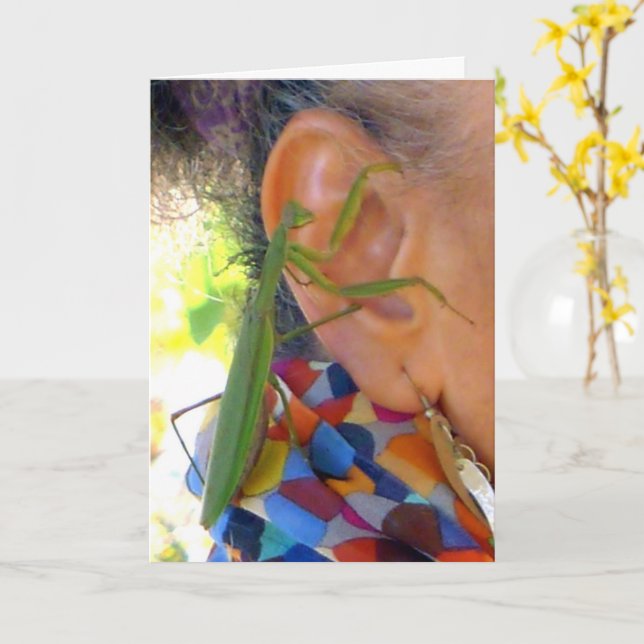 Praying Mantis delar ett hemligt kort (Gul blomma)