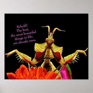 Praying Mantis & Flowers Bright & Beval Poster