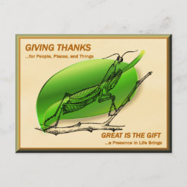 Praying Mantis Ge tack Vykort