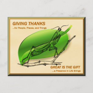 Praying Mantis Ge tack Vykort