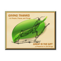 Praying Mantis Ge tack