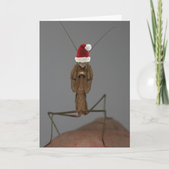 Praying Mantis Helgdag Card Helgkort (Framsida)