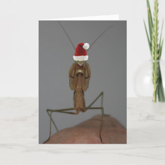 Praying Mantis Helgdag Card Helgkort